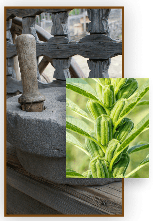 best tahini sauce to buy